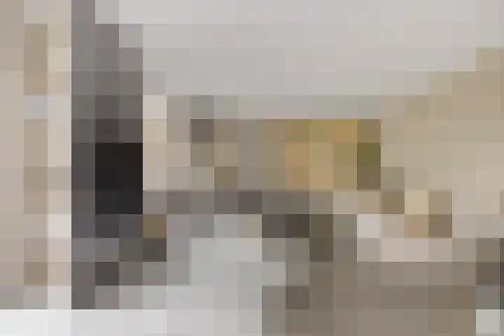 Struisgras 21 Hendrik-Ido-Ambacht thumbnail 8
