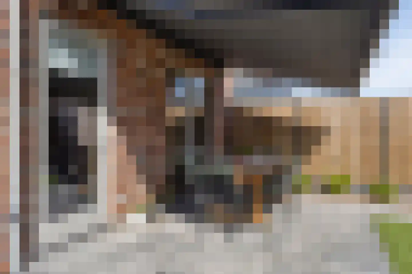 Struisgras 29 Heesch thumbnail 36
