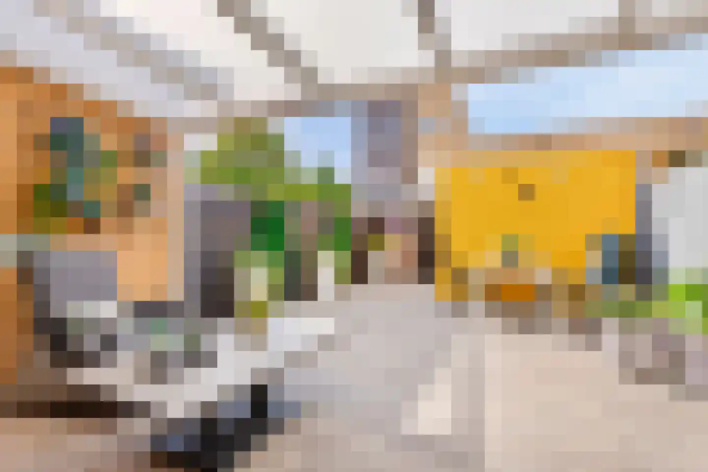 Struisgras 3 De Goorn thumbnail 19