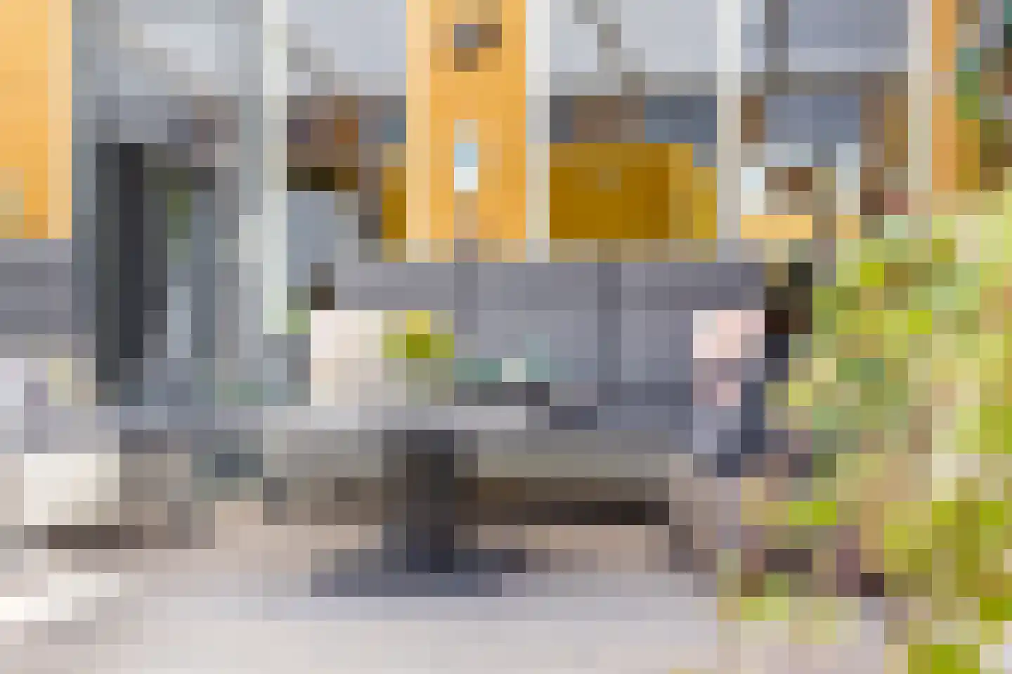 Struisgras 3 De Goorn thumbnail 21