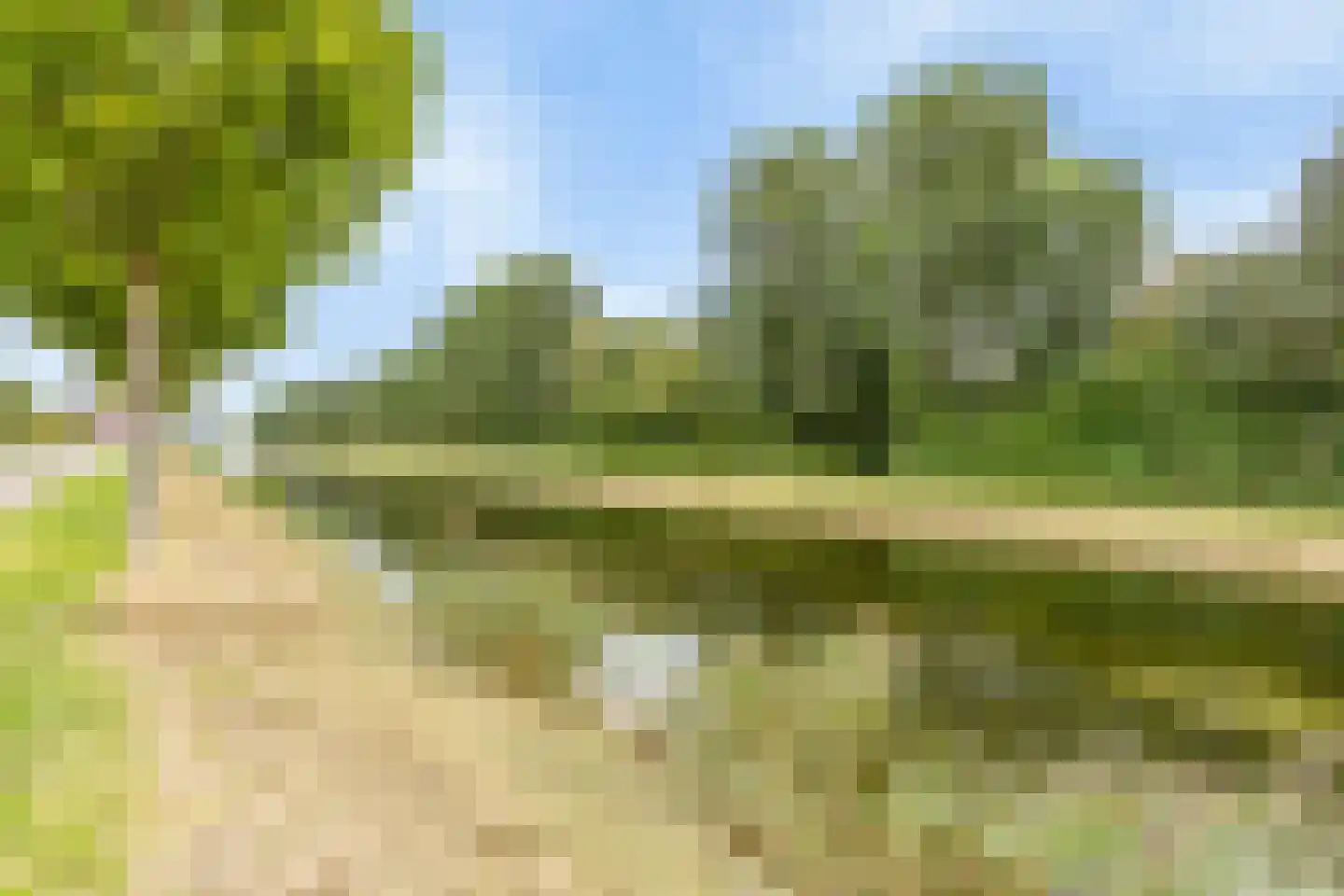 Struisgras 3 De Goorn thumbnail 24