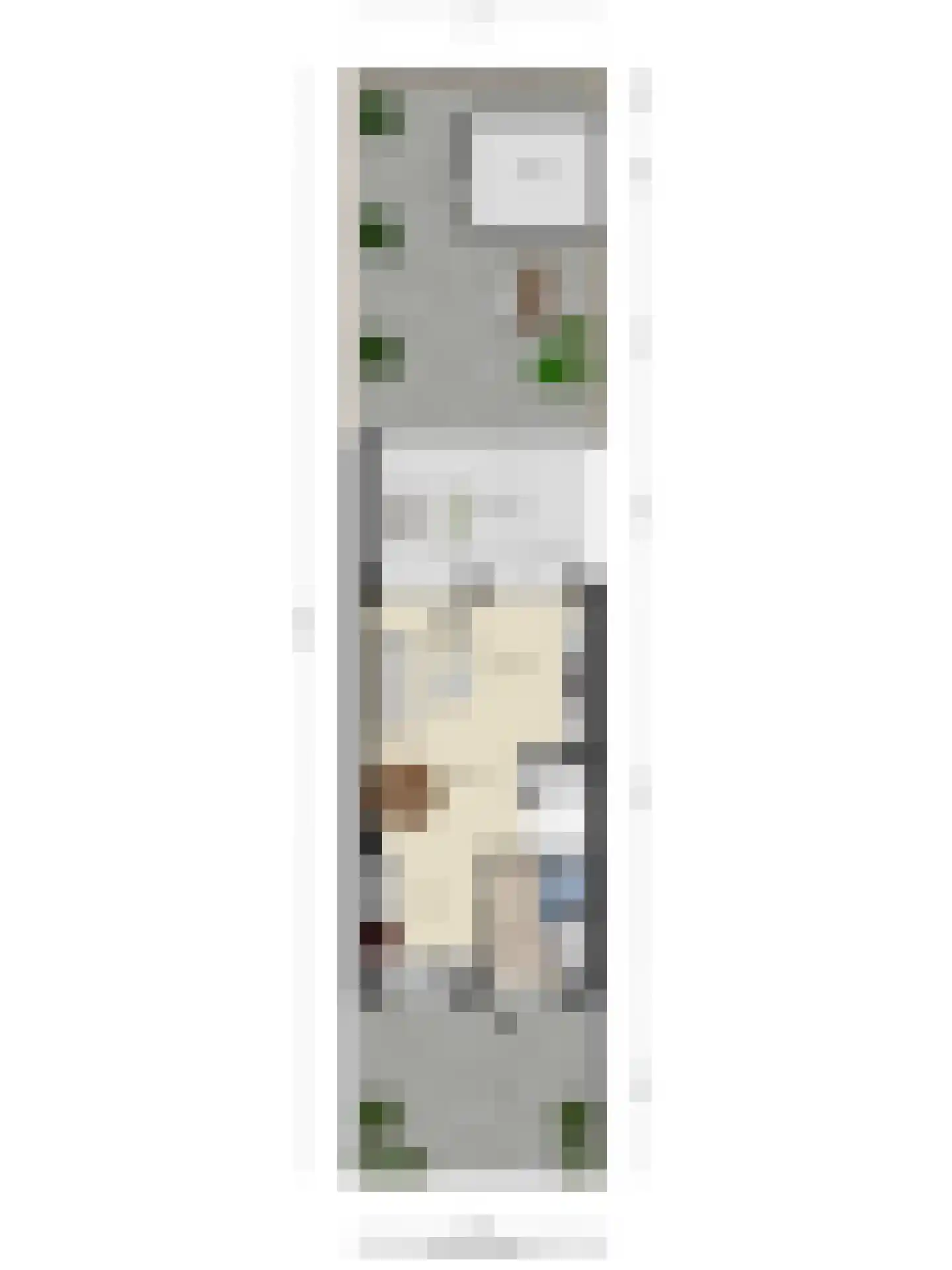 Struisgras 3 De Goorn thumbnail 28