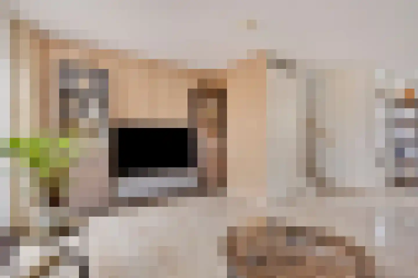 Struisgras 3 De Goorn thumbnail 7