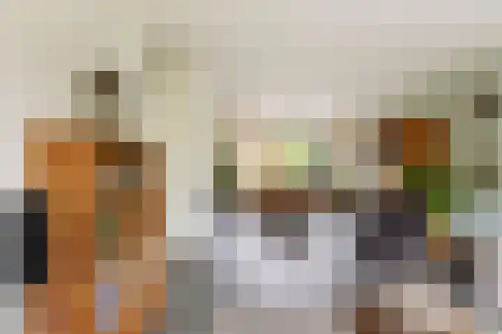 Struisgras 3 Gouda thumbnail 11