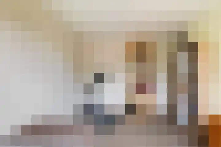 Struisgras 3 Gouda thumbnail 35