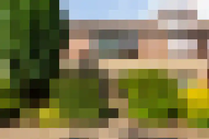 Struisgras 3 Gouda thumbnail 4