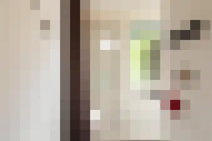 Struisgras 3 Gouda thumbnail 5