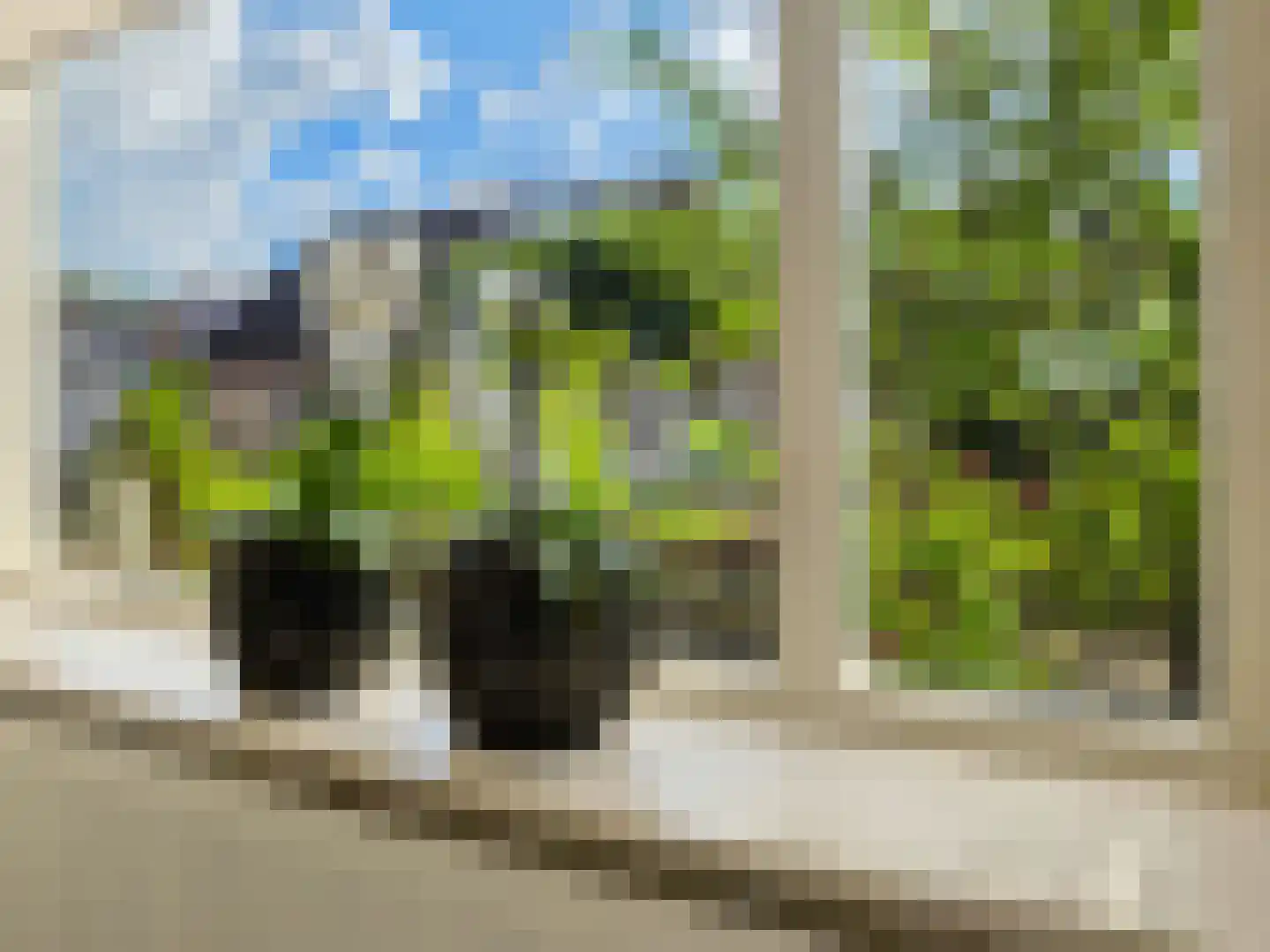Struisgras 33 Borne thumbnail 12