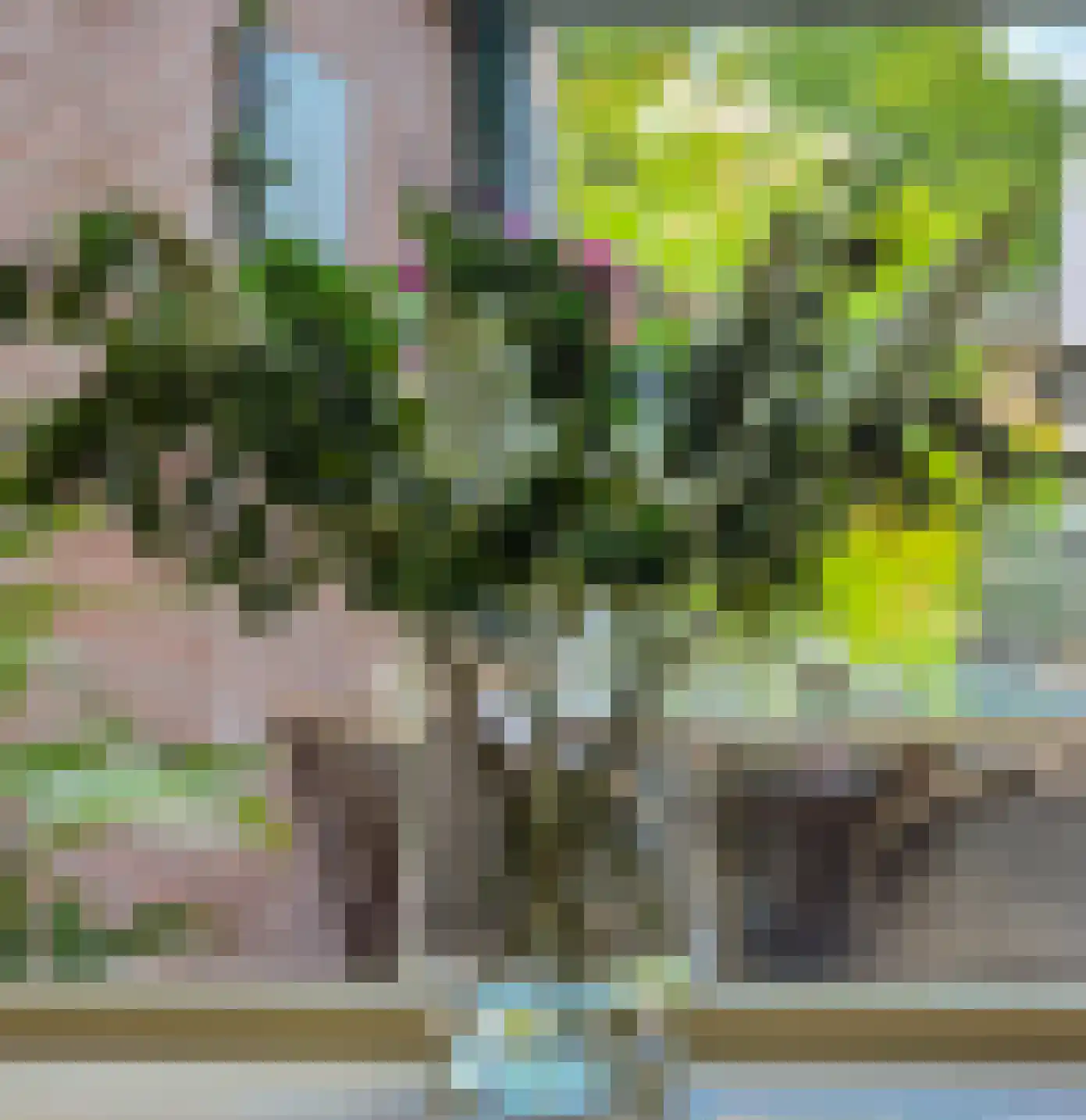Struisgras 33 Borne thumbnail 22