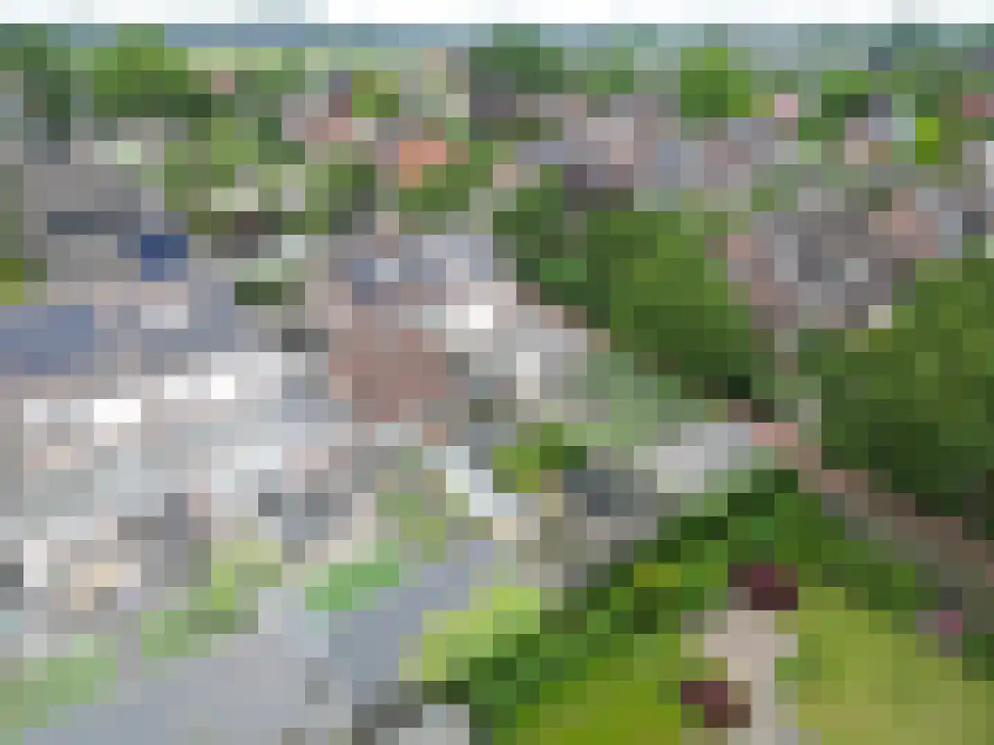 Struisgras 33 Borne thumbnail 4