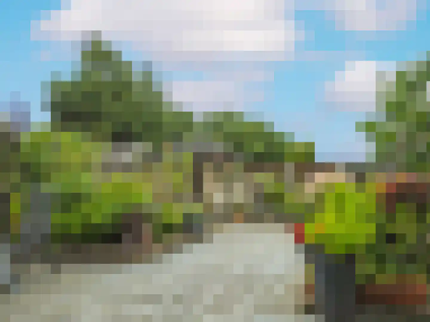 Struisgras 33 Borne thumbnail 89