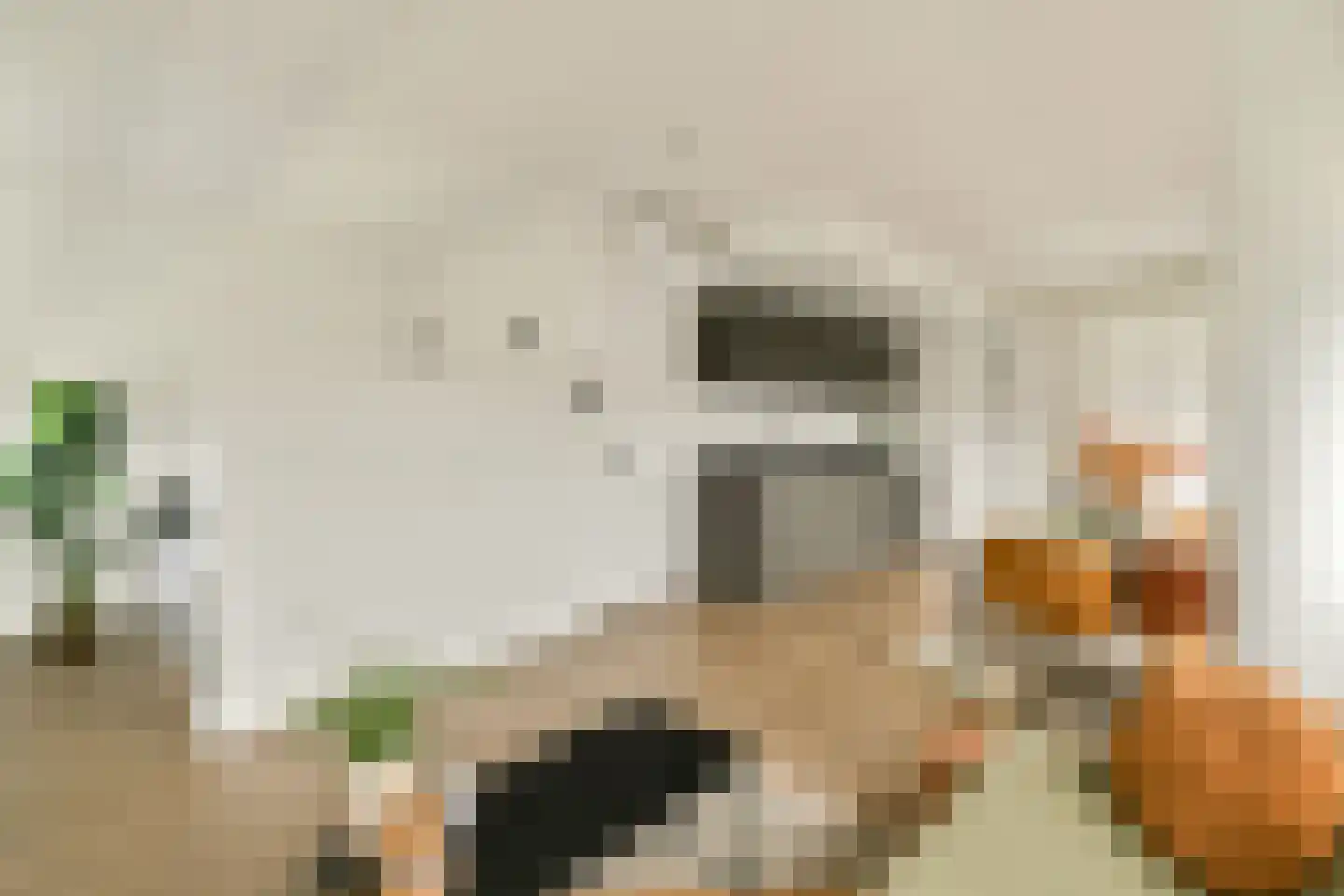 Struisgrasstraat 1 F Amsterdam thumbnail 7