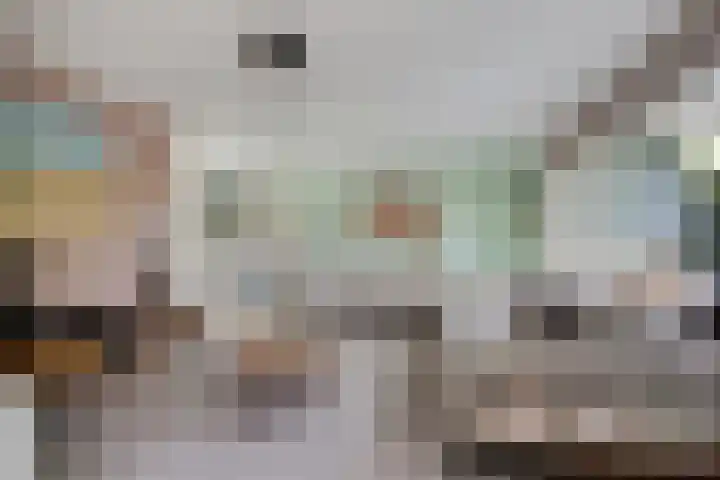 Struisvaren 9 Bergschenhoek thumbnail 10