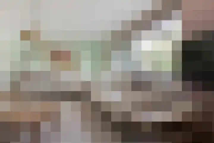 Struisvaren 9 Bergschenhoek thumbnail 11