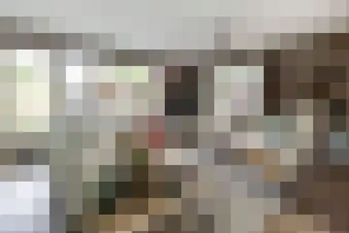 Struisvaren 9 Bergschenhoek thumbnail 12