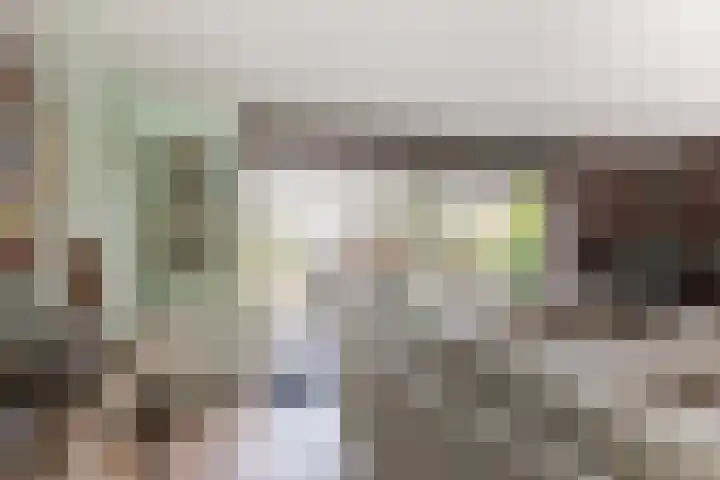 Struisvaren 9 Bergschenhoek thumbnail 14