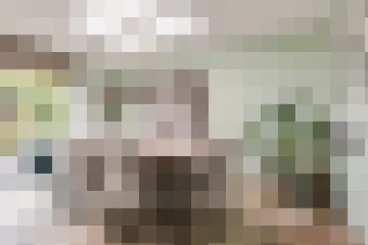 Struisvaren 9 Bergschenhoek thumbnail 15