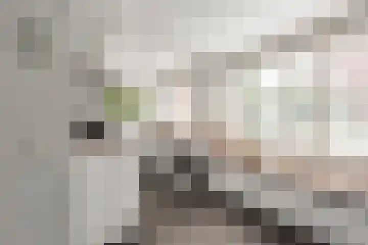 Struisvaren 9 Bergschenhoek thumbnail 17