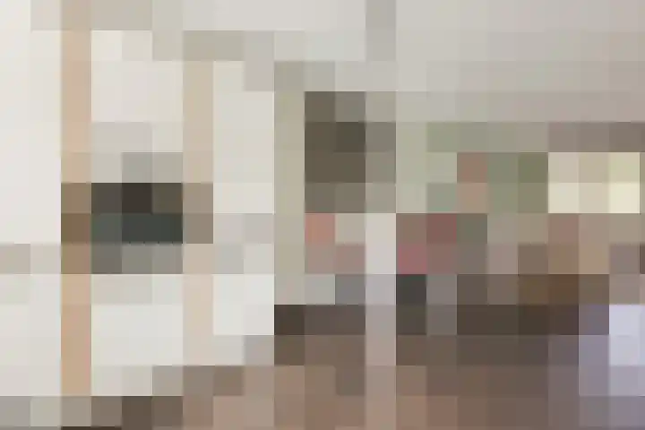 Struisvaren 9 Bergschenhoek thumbnail 21