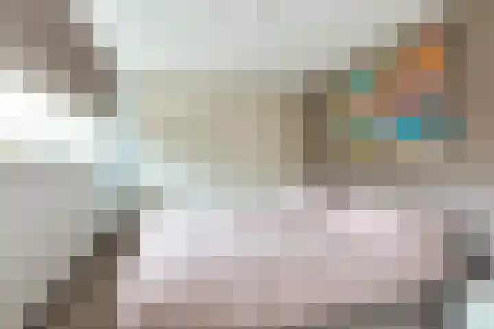 Struisvaren 9 Bergschenhoek thumbnail 23