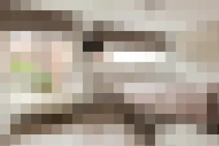 Struisvaren 9 Bergschenhoek thumbnail 24