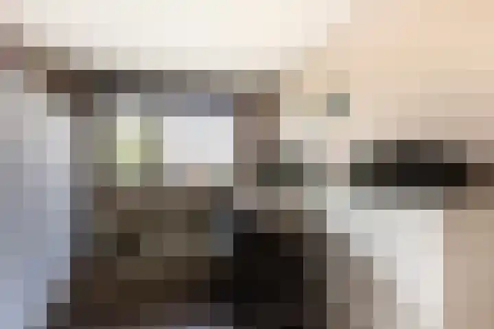 Struisvaren 9 Bergschenhoek thumbnail 26