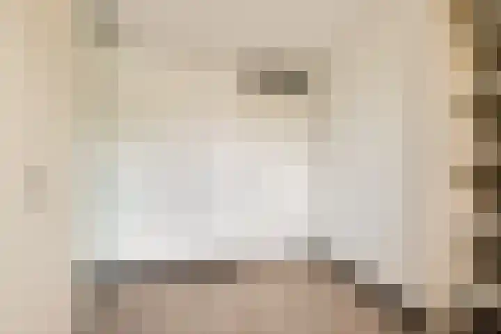 Struisvaren 9 Bergschenhoek thumbnail 30