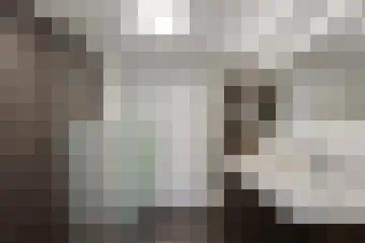 Struisvaren 9 Bergschenhoek thumbnail 31