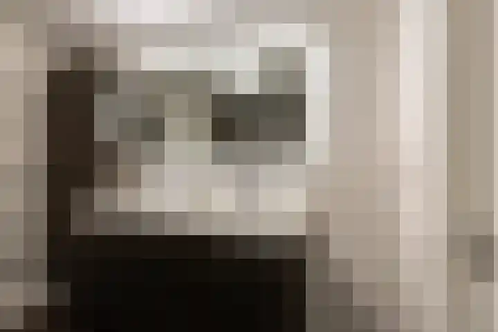 Struisvaren 9 Bergschenhoek thumbnail 32