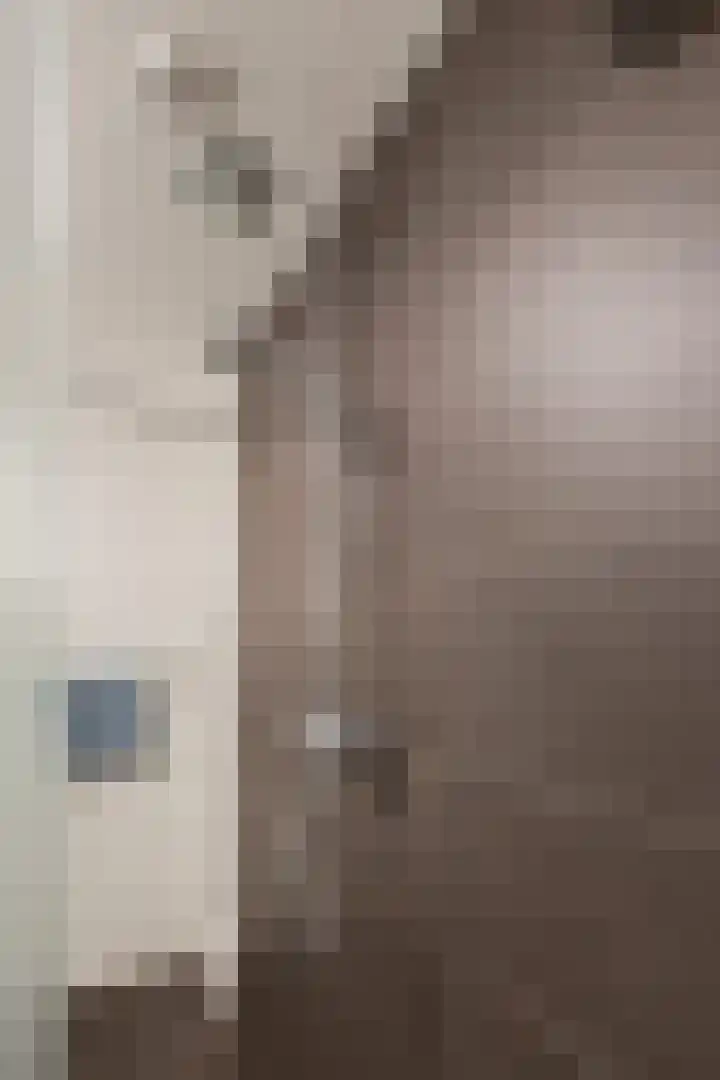Struisvaren 9 Bergschenhoek thumbnail 33