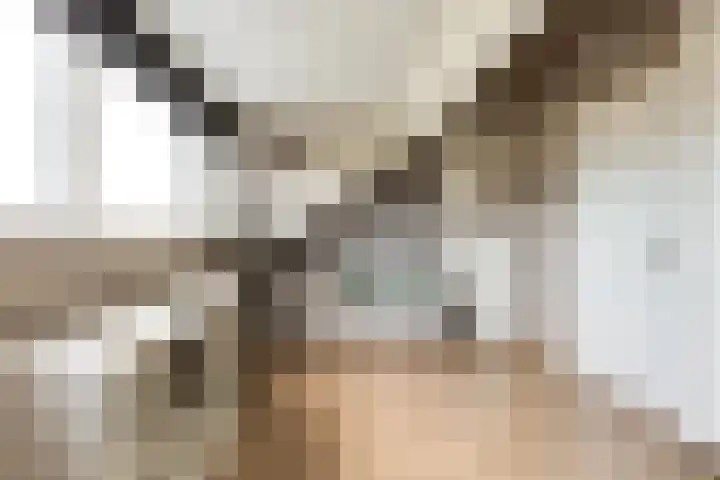 Struisvaren 9 Bergschenhoek thumbnail 34