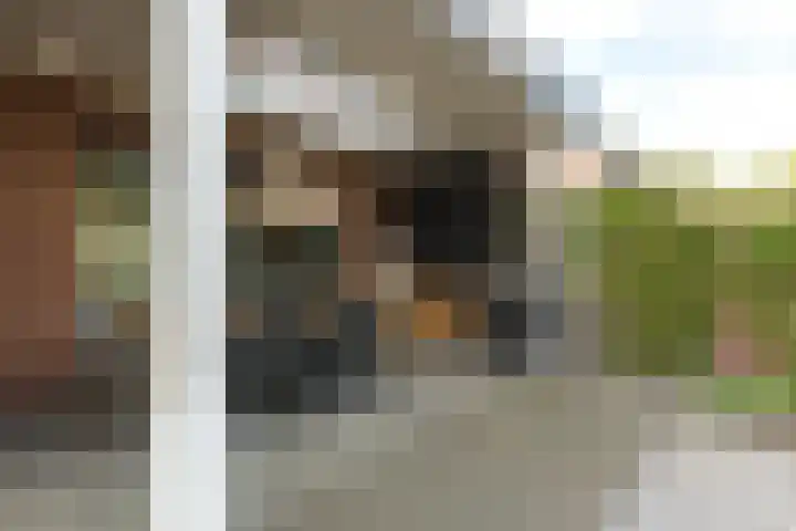 Struisvaren 9 Bergschenhoek thumbnail 39