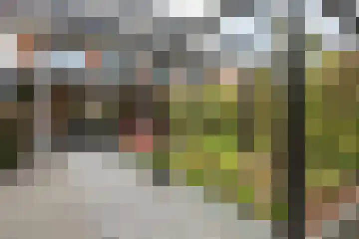 Struisvaren 9 Bergschenhoek thumbnail 42