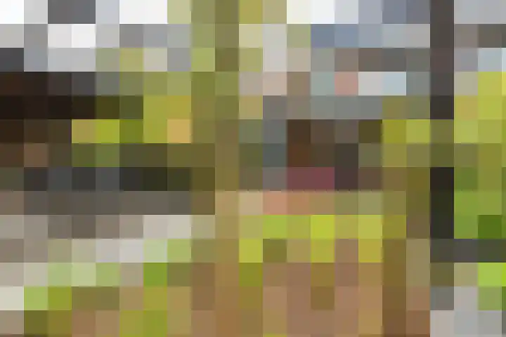 Struisvaren 9 Bergschenhoek thumbnail 43