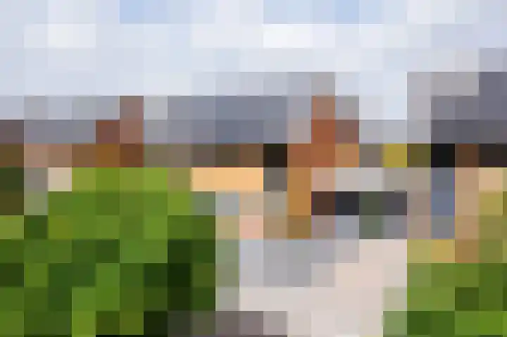 Struisvaren 9 Bergschenhoek thumbnail 5