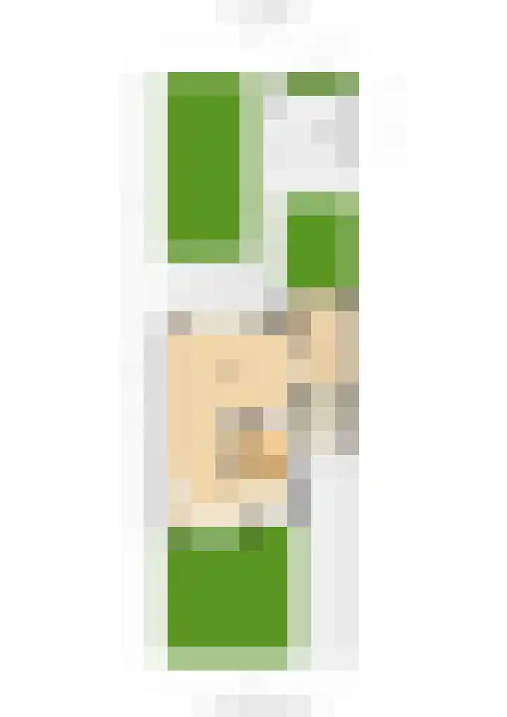 Struisvaren 9 Bergschenhoek thumbnail 51