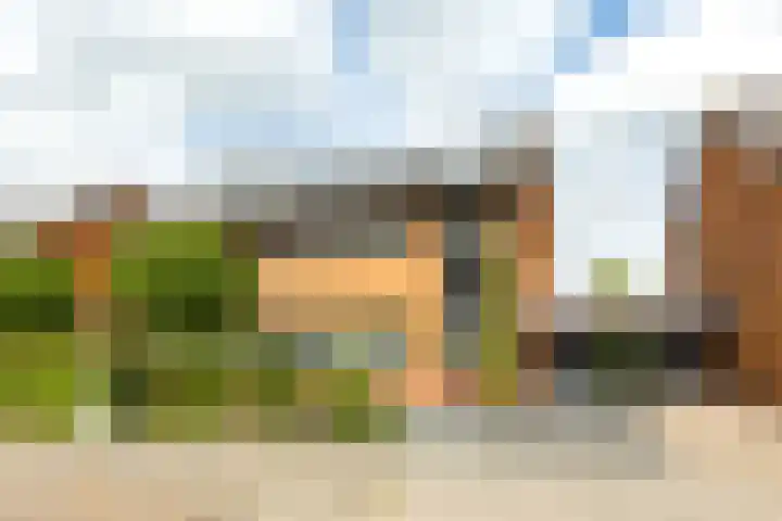 Struisvaren 9 Bergschenhoek thumbnail 52