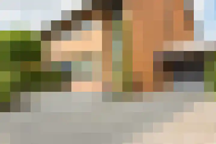 Struisvaren 9 Bergschenhoek thumbnail 6