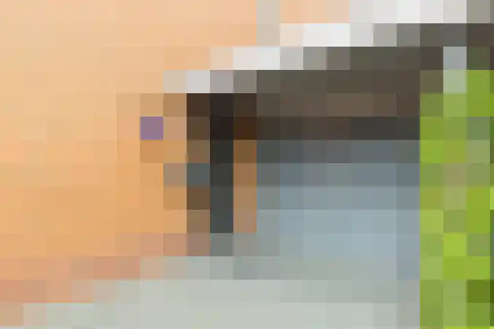 Struisvaren 9 Bergschenhoek thumbnail 7