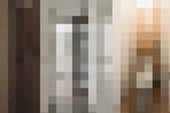 Struisvaren 9 Bergschenhoek thumbnail 9