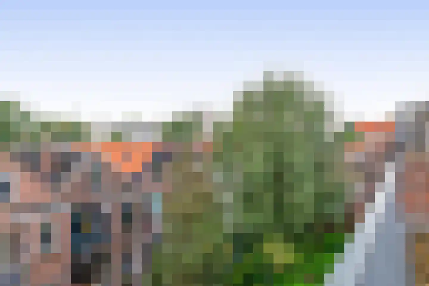 Struitenweg 32 C Rotterdam thumbnail 20
