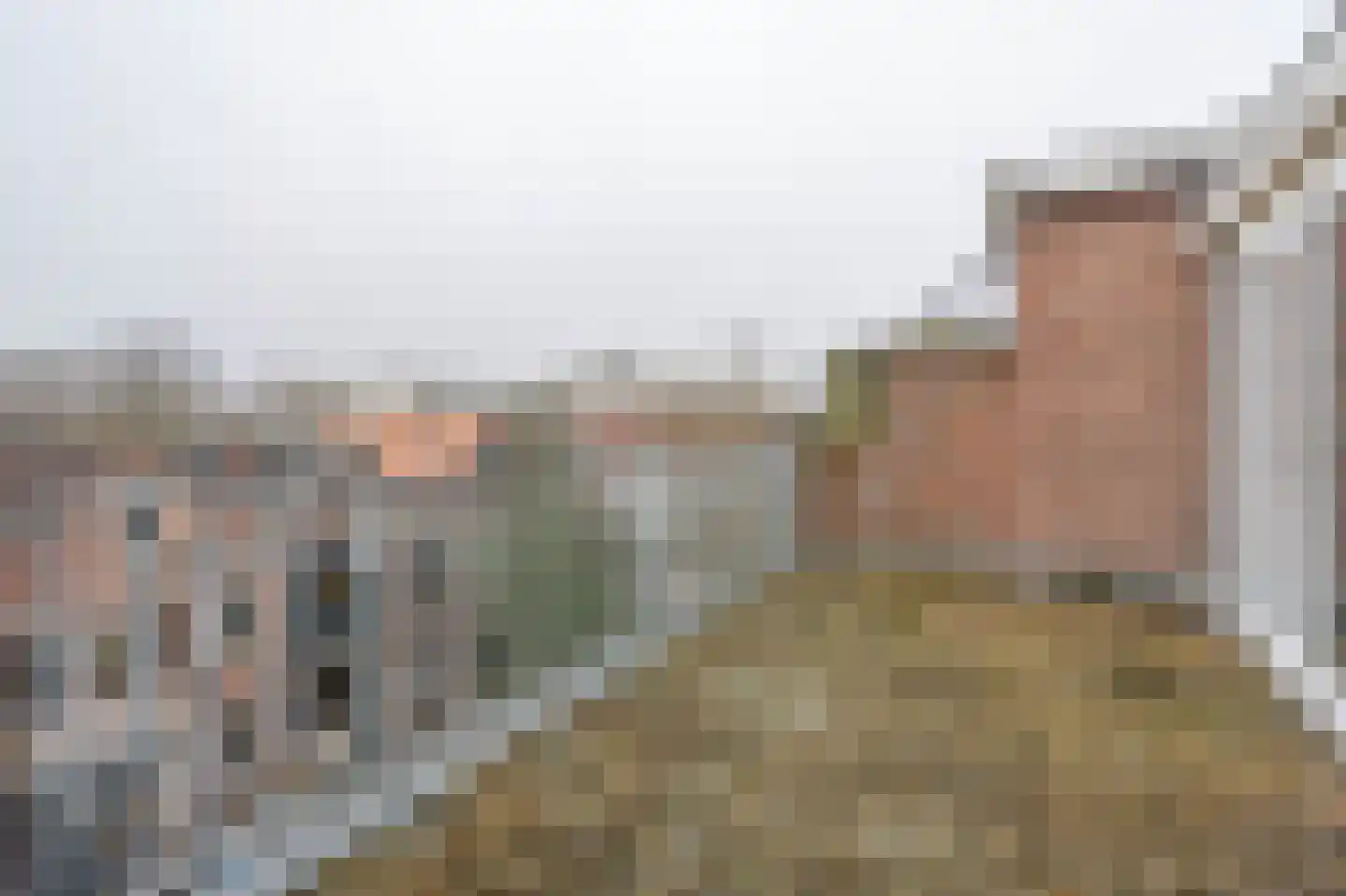 Struitenweg 32 C Rotterdam thumbnail 4
