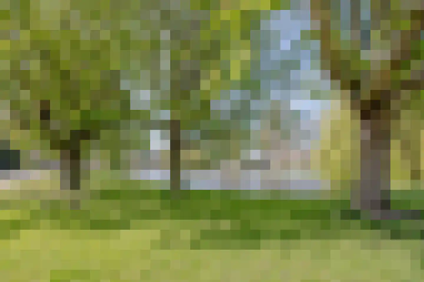 Struitenweg 35 B Rotterdam thumbnail 33
