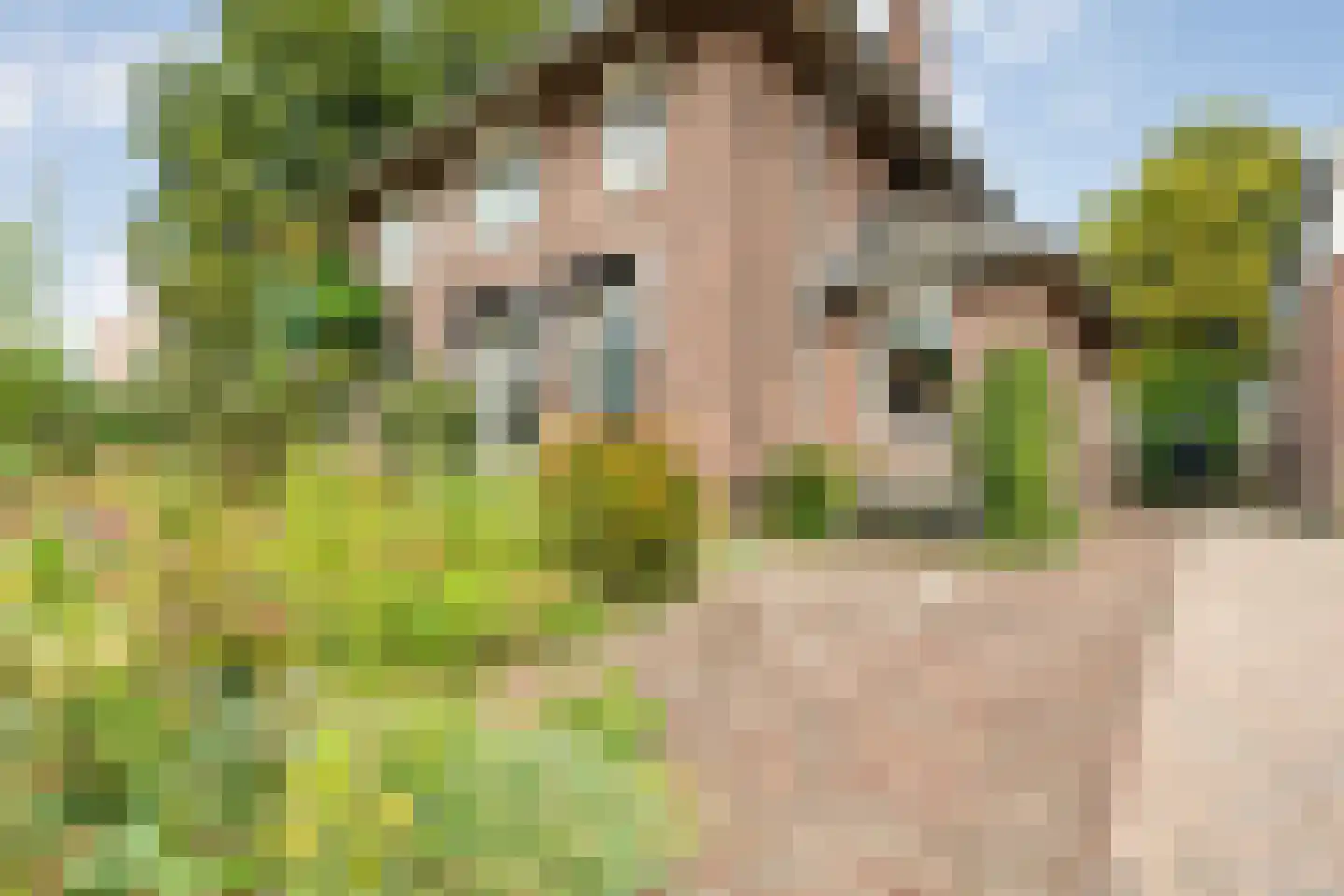 Strumphlerstraat 3 Hengelo thumbnail 6