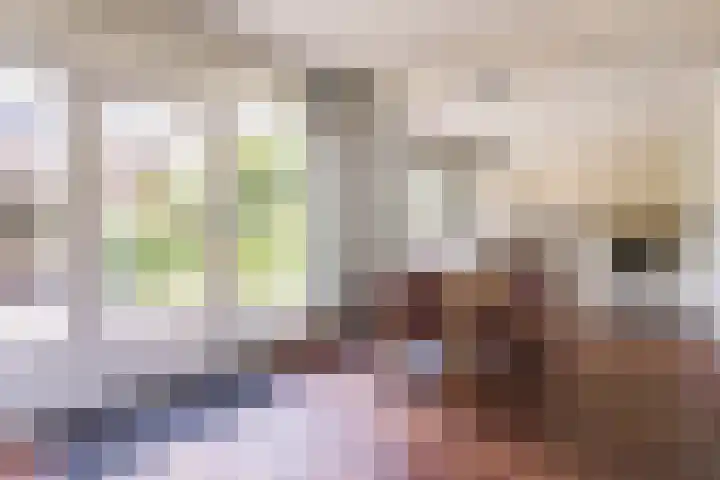 Struuckweg 20 de Wijk thumbnail 11