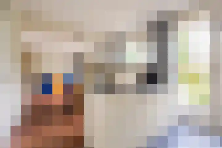 Struuckweg 20 de Wijk thumbnail 13