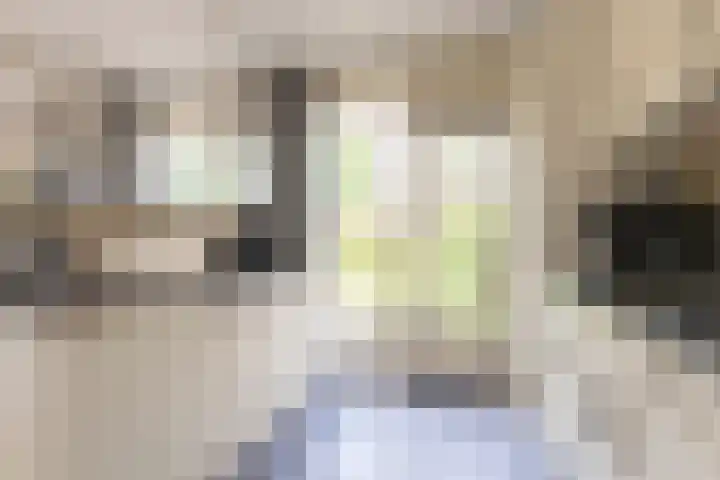 Struuckweg 20 de Wijk thumbnail 14