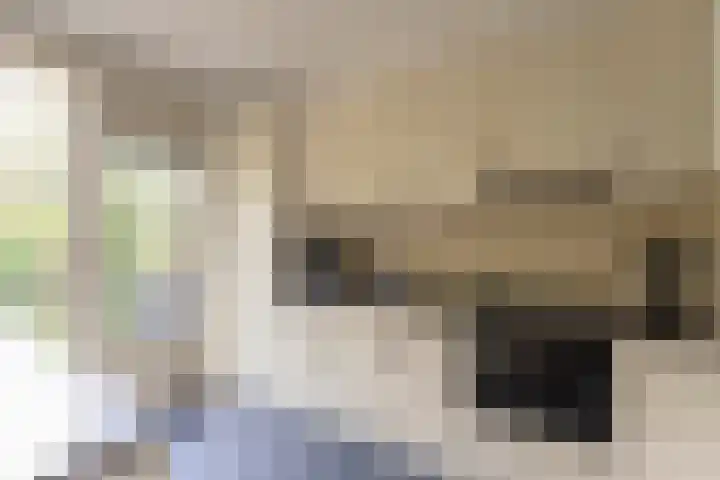 Struuckweg 20 de Wijk thumbnail 15