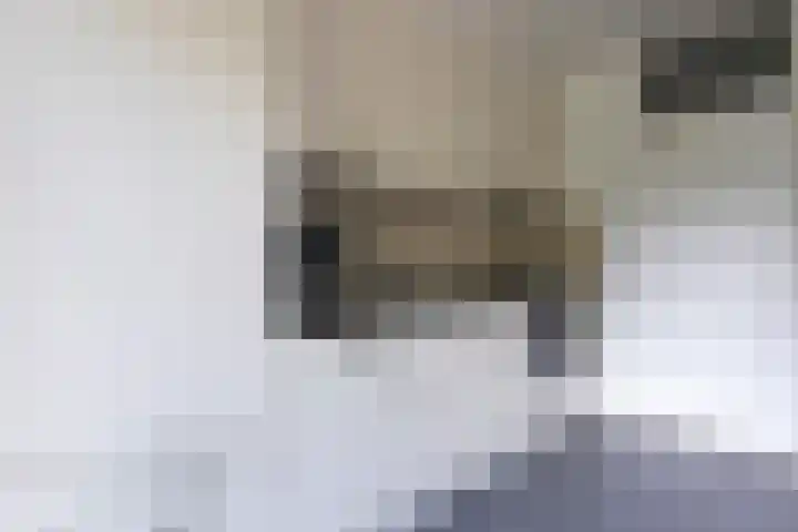 Struuckweg 20 de Wijk thumbnail 16