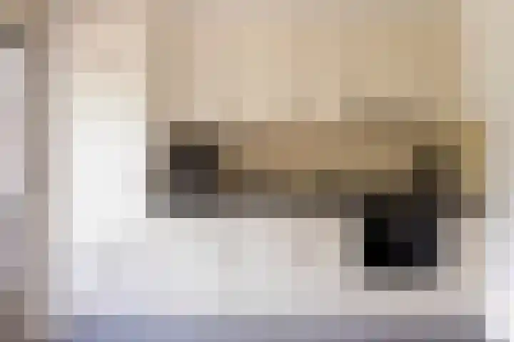 Struuckweg 20 de Wijk thumbnail 17